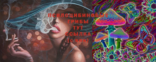 эйфоретик Арсеньев